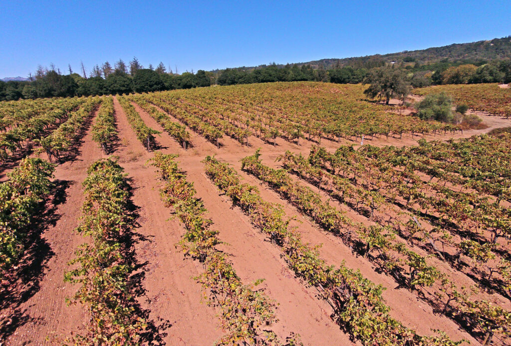 Vineyards For Sale In Cloverdale