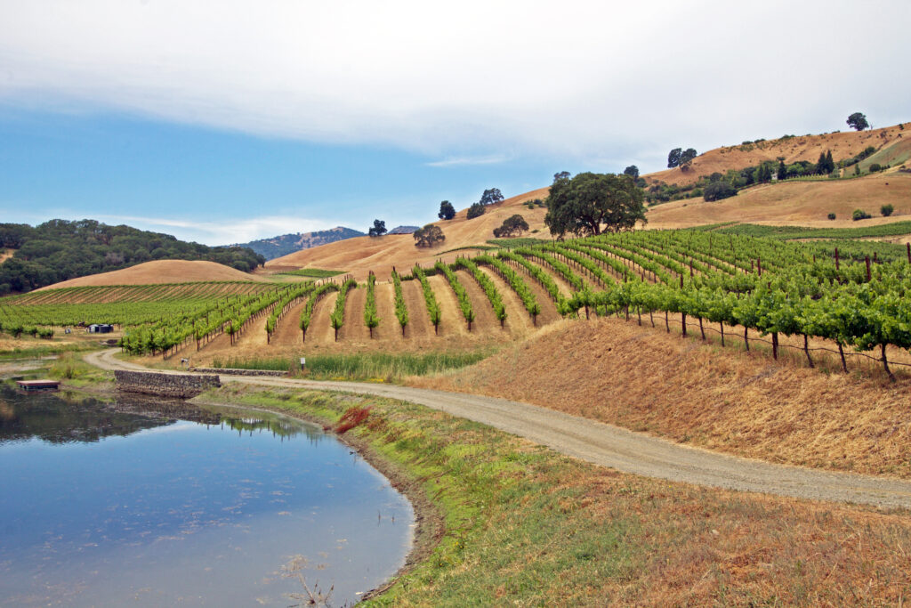 Napa Valley Vineyards For Sale
