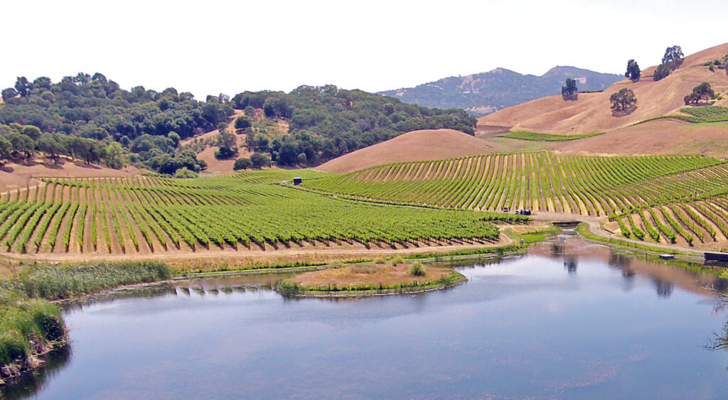 Vineyards For Sale In Napa Valley