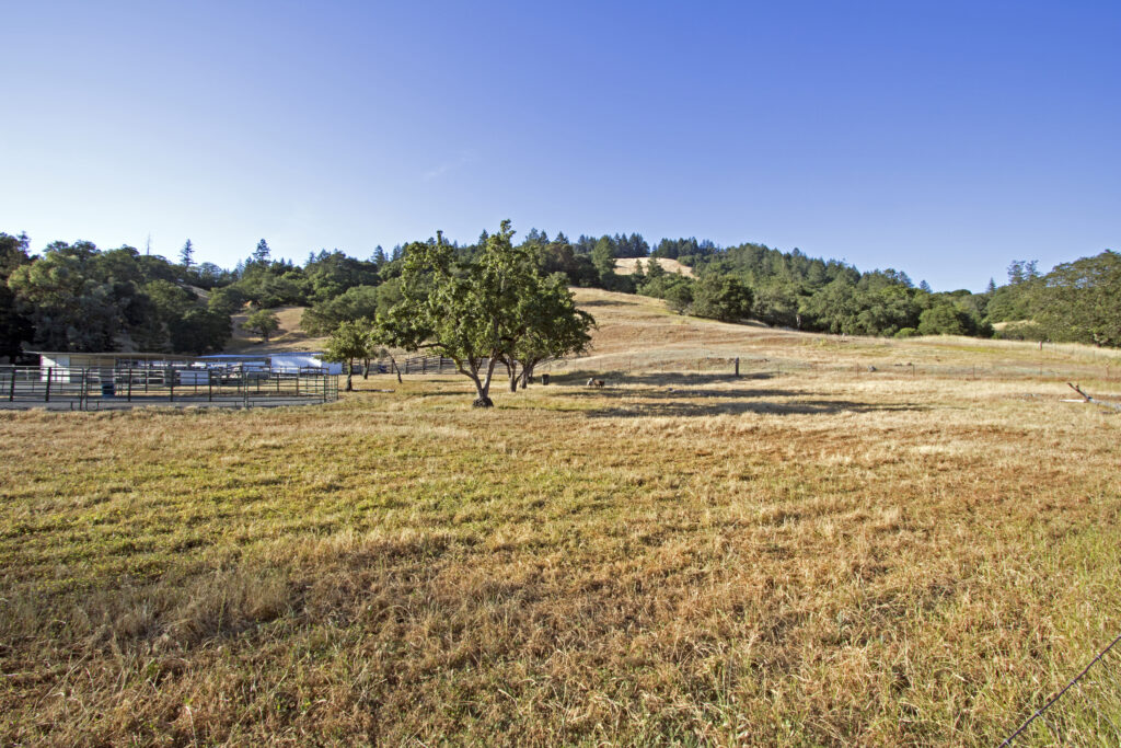 Napa Valley Land For Sale