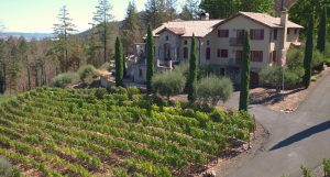 vineyard estate in calistoga