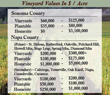 vineyard_values