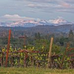 snowcapped-mountains-vineyard-el-dorado-county-california