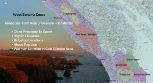 West Sonoma Coast, Annapolis, Fort Ross-Seaview, Occidential, Pinot Noir, Chardonnay, Vineyard