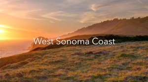 West Sonoma Coast Video, Premium Pinot Noir and Chardonnay