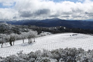 snow, vineyard, wine, cloverdale, pine mountain, cabernet