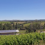 Sierra Foothills Profitable Winery For Sale