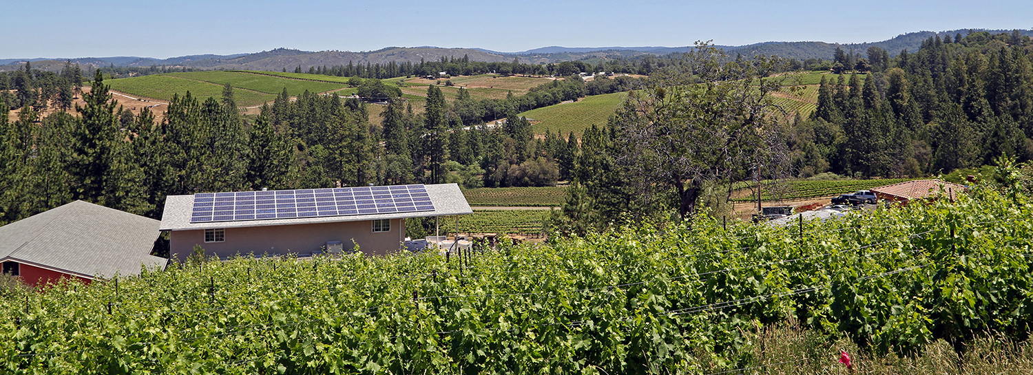 Quality and Profitability In The Sierra Foothills