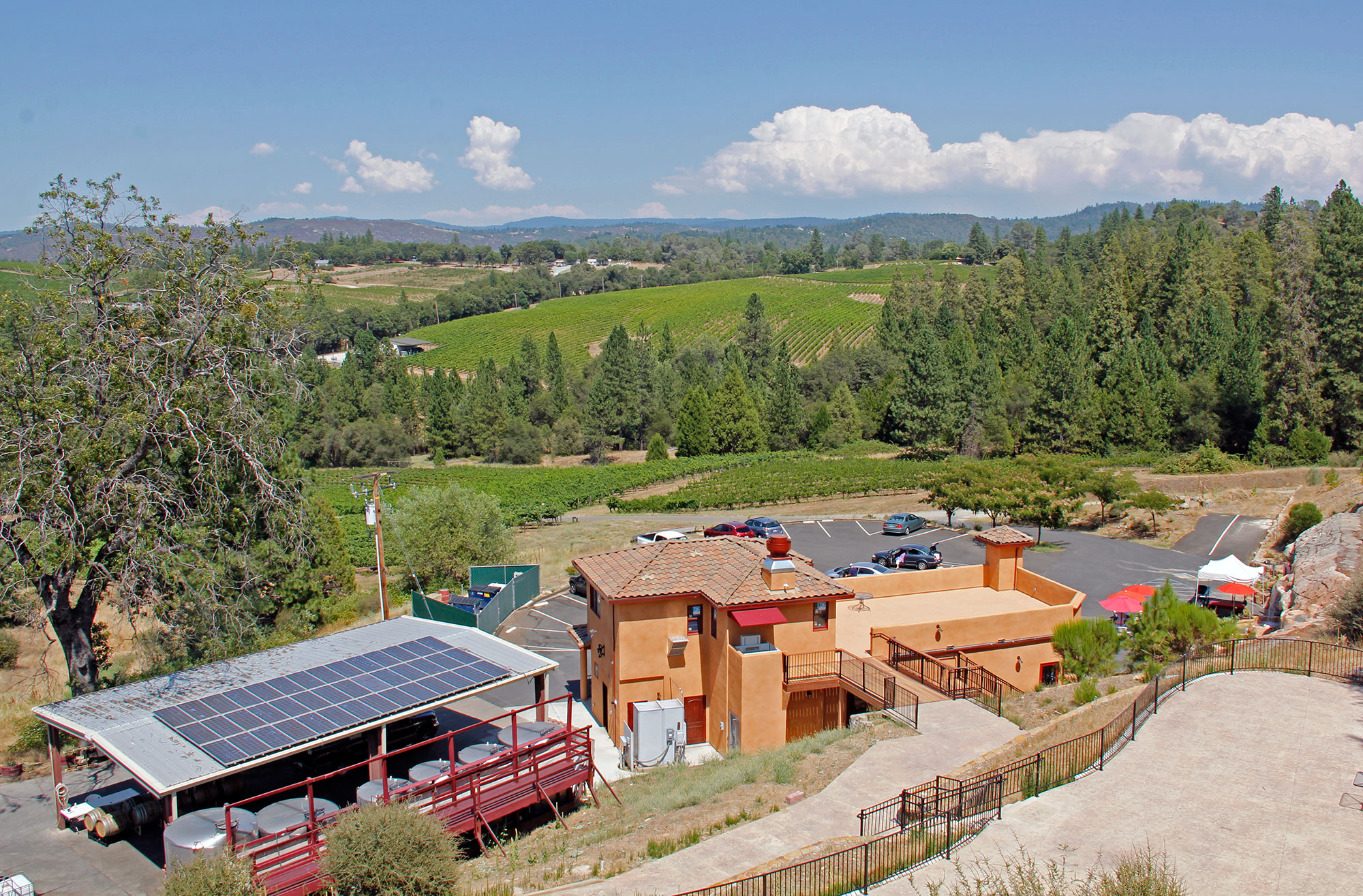 Spectacular Vineyard and Winery Setting in the Sierra Foothiils