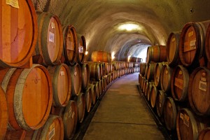 Large Wine Cave