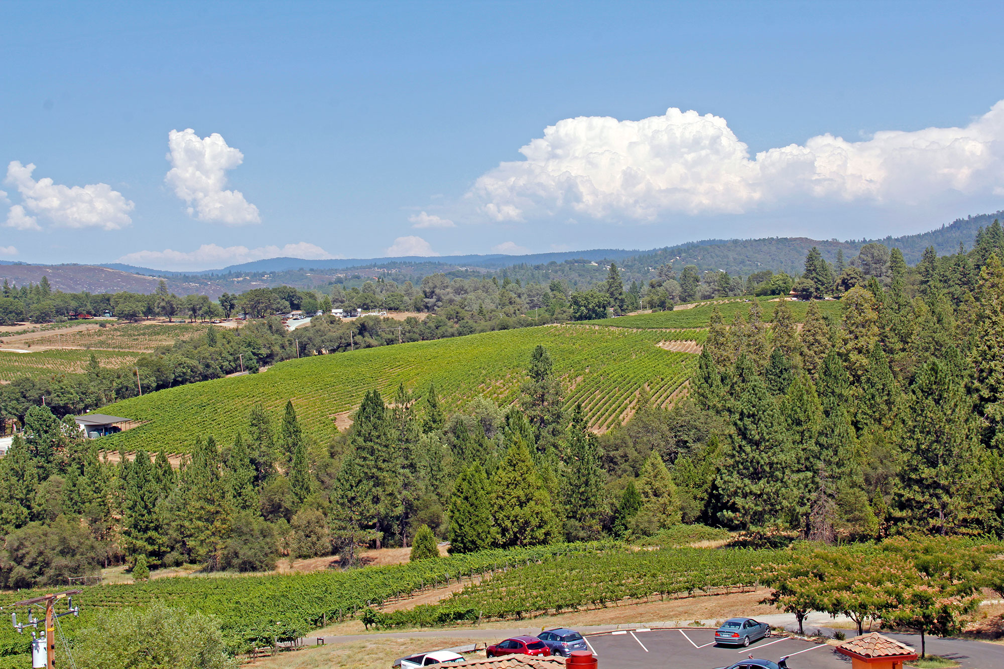Fair Play AVA, Sierra Foothills Vineyard Views