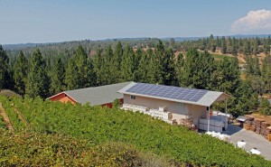 Solar powered winery in the Sierra Foothills