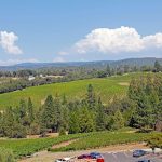 vineyards-on-hills-sierra-foothills