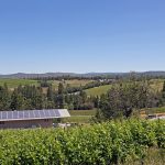 winery-vineyard-view-california