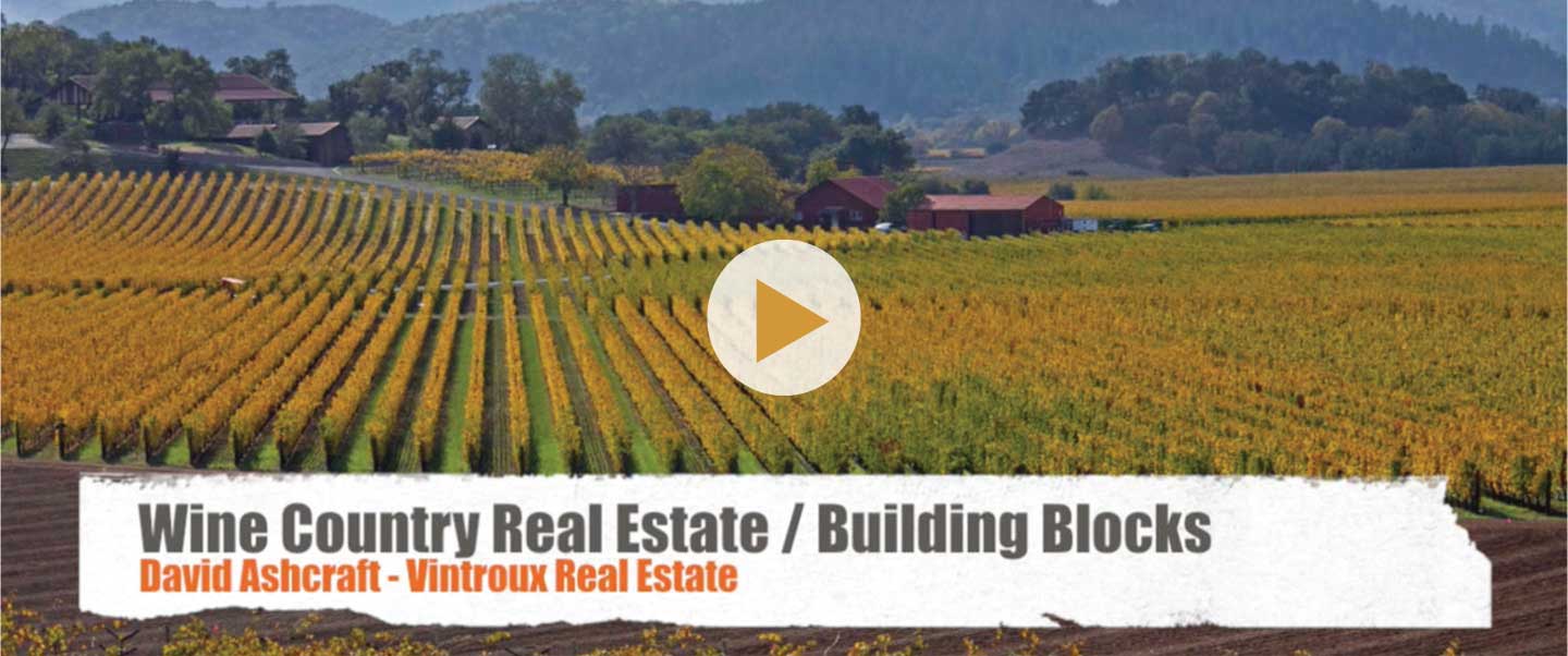 Wine Country Real Estate Building Blocks and Video Vintroux