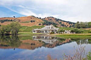Nepthens Vineyard, Napa, Napa Valley, vineyard, wine, real estate, luxury estate, lifestyle