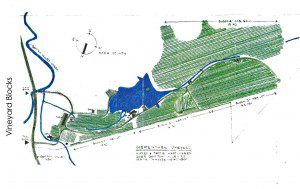 napa, vineyard, vineyard estate, real estate, for sale, cabernet sauvignon, merlot