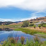 lake-vineyard-setting-napa-valley