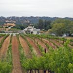 rolling-vineyard-home-napa-valley