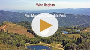 Sonoma County Wine Region