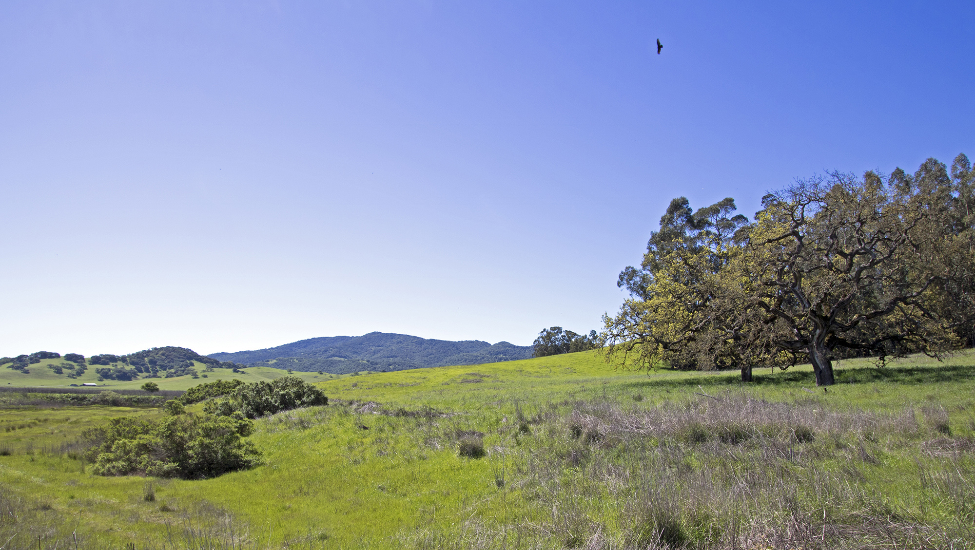 600 Acres in wine country