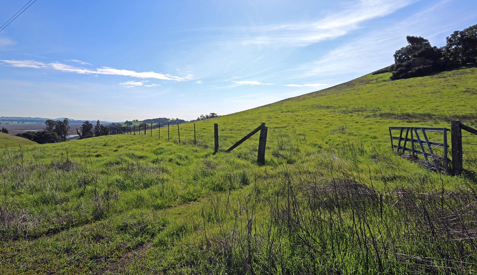 Gorgeous Sonoma County Ranch - Petaluma