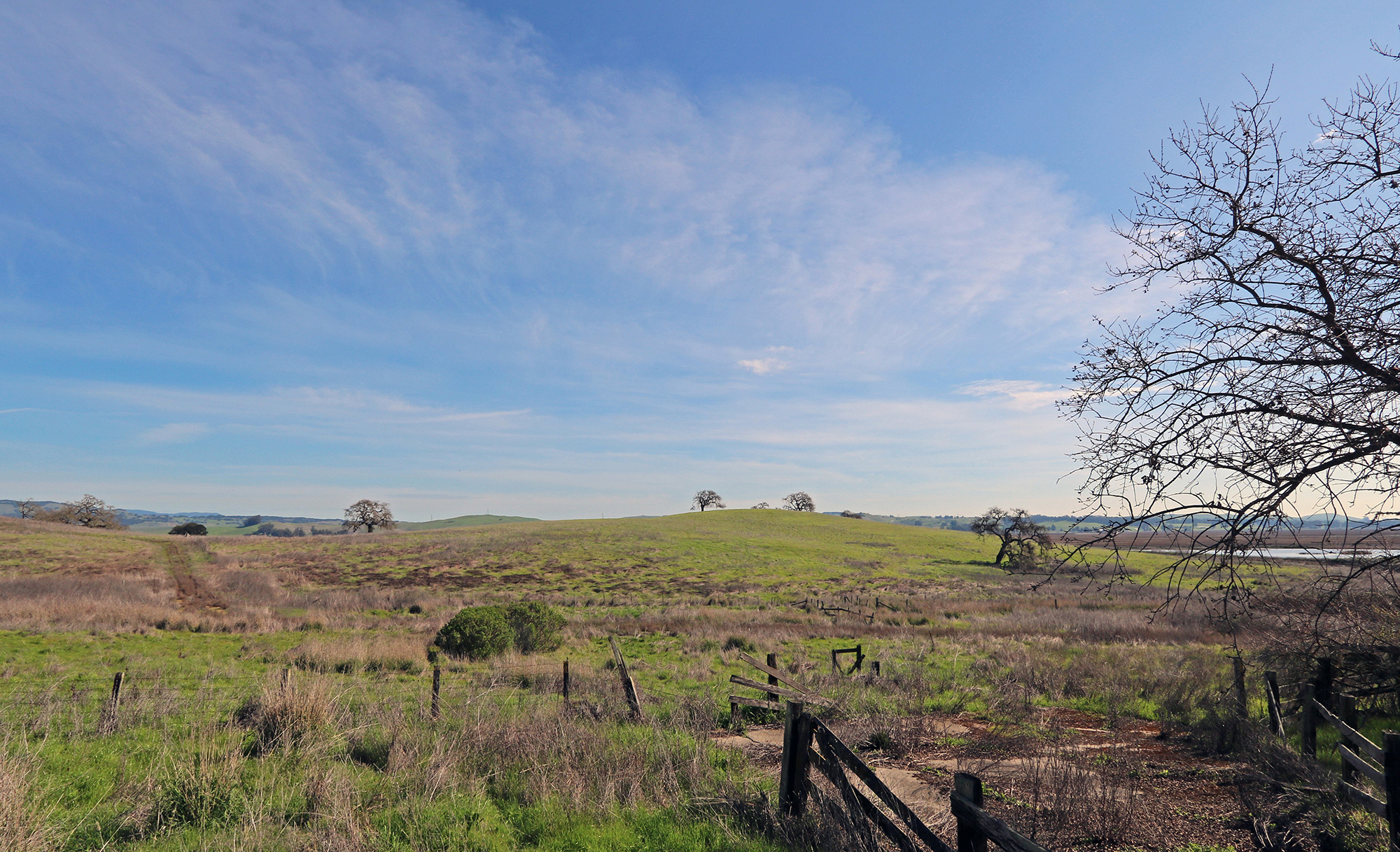 Gorgeous Sonoma County Ranch - Petaluma