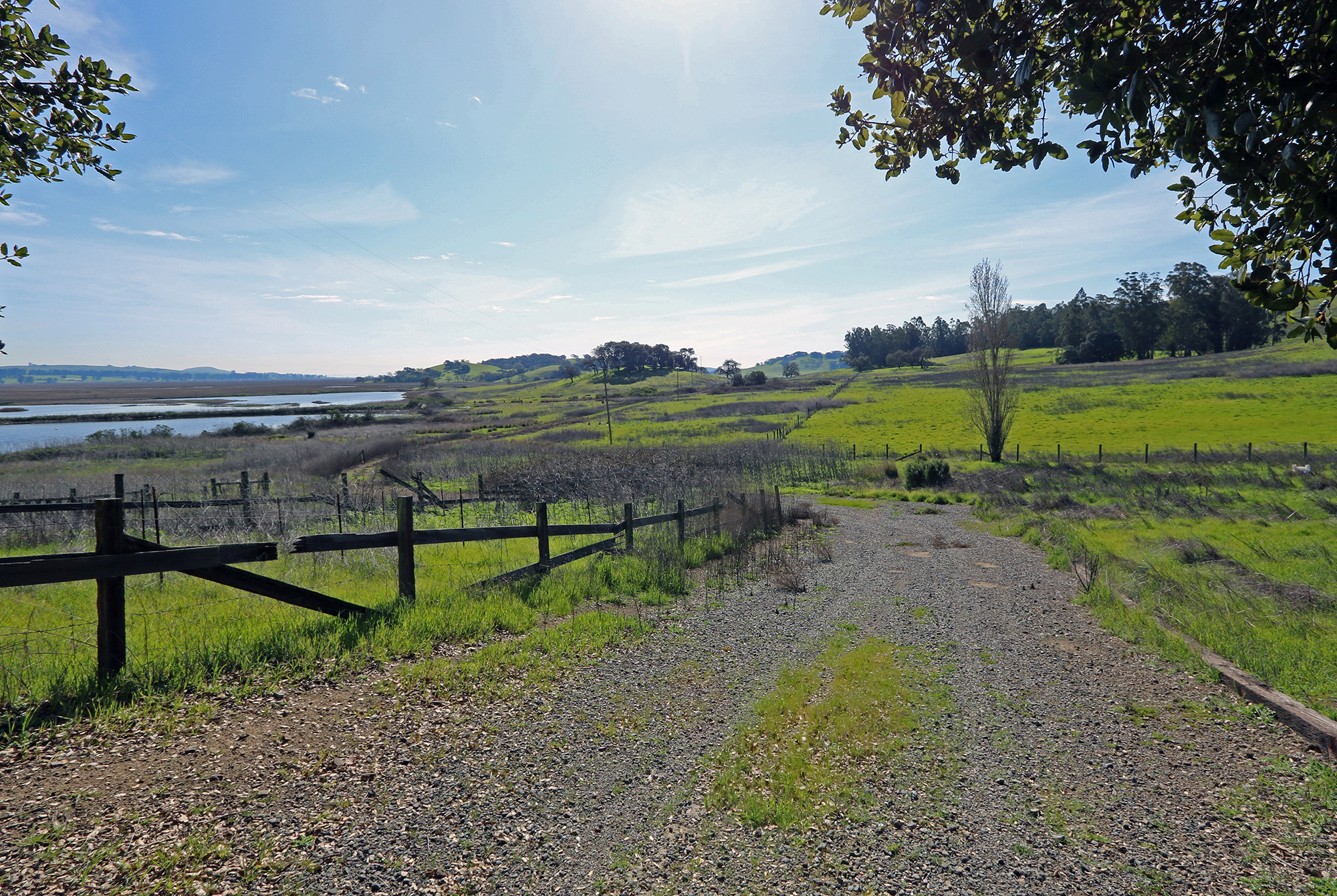 Sonoma County Ranch Petaluma Vintroux