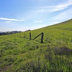 cattle-gate-petaluma-california