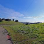 driveway-into-ranch-petaluma-california