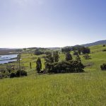 hills-and-water-petaluma-california