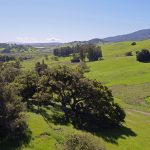 open-land-and-hills-with-trees-sonoma-county