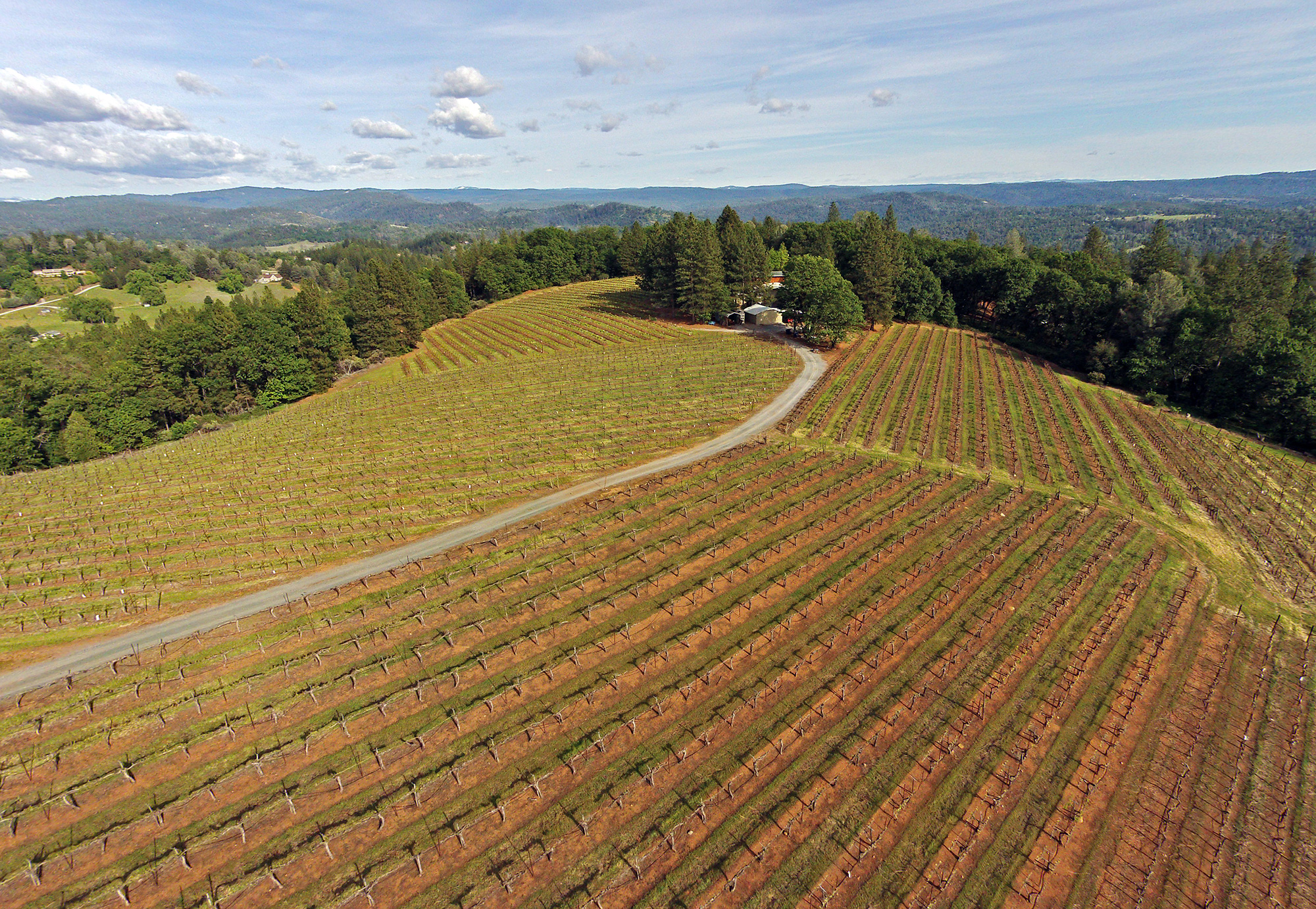 Premium Sierra Foothills Estate Vineyard and Winery