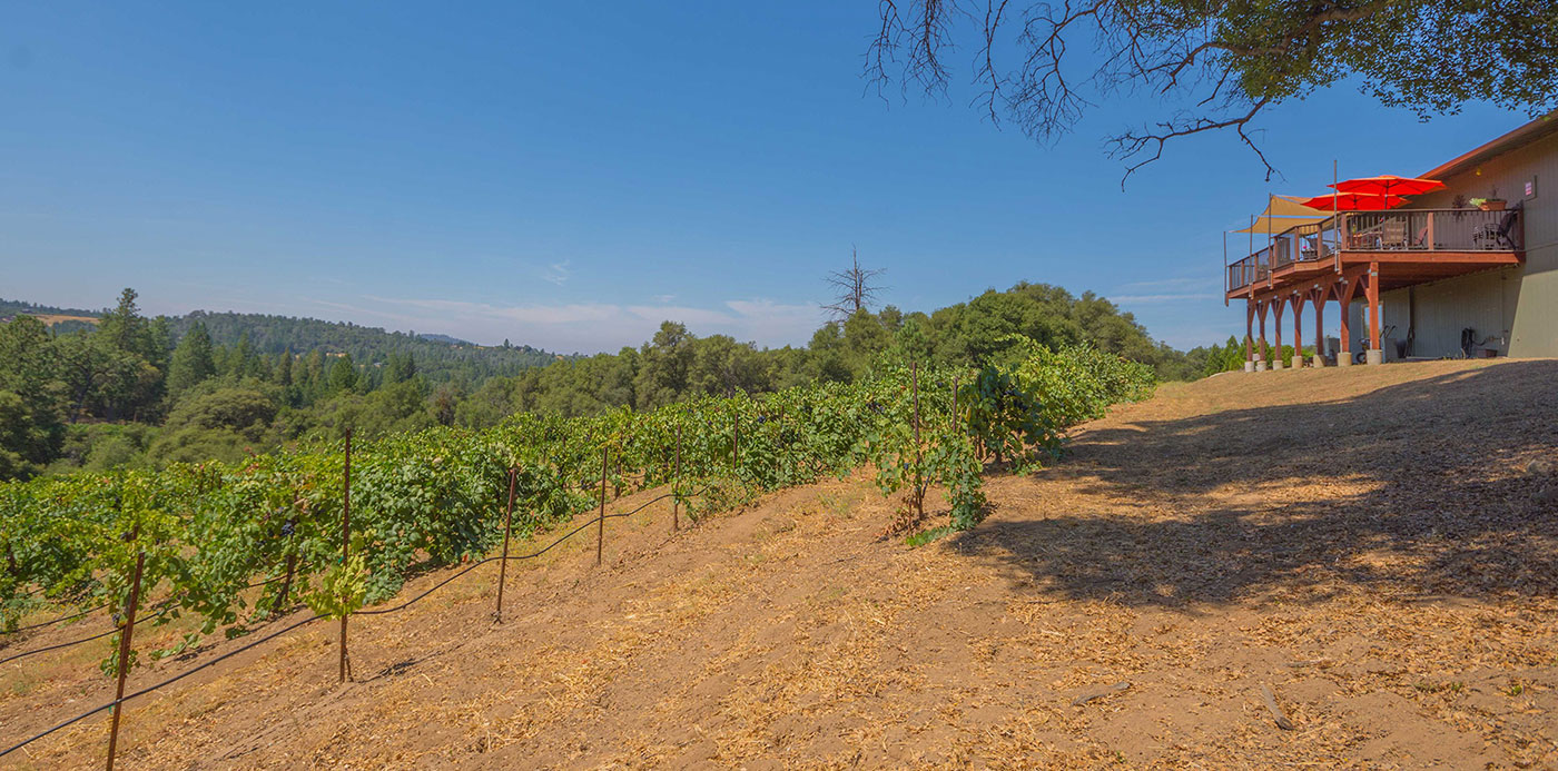 Sierra Foothills Winery For Sale Vintroux