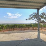 view-from-crush-pad-winery-petaluma-gap-ava
