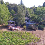 Sebastopol Pinot Noir Vineyard Estate