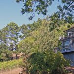 home-and-vineyard-on-a-hill-sebastopol-california