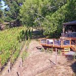 party-deck-pinot-noir-vineyard-sebastopol-california