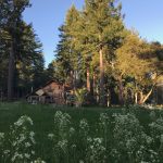 cabin-springtime-sonoma-coast