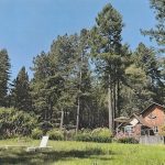 rustic-cabin-sonoma-coast