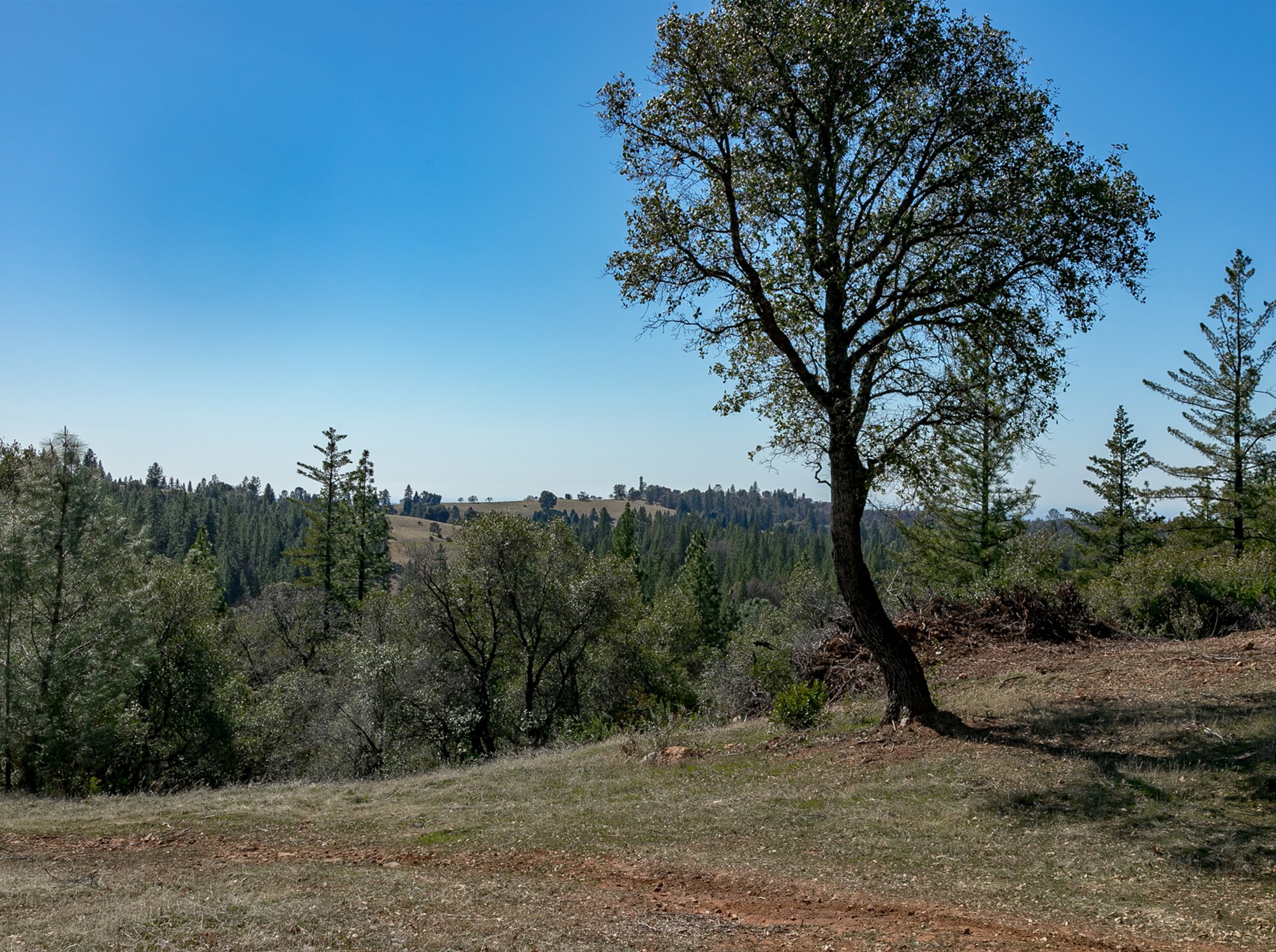 Pristine Amador County Vineyard, Winery Potential and Snowcapped Sierra Views