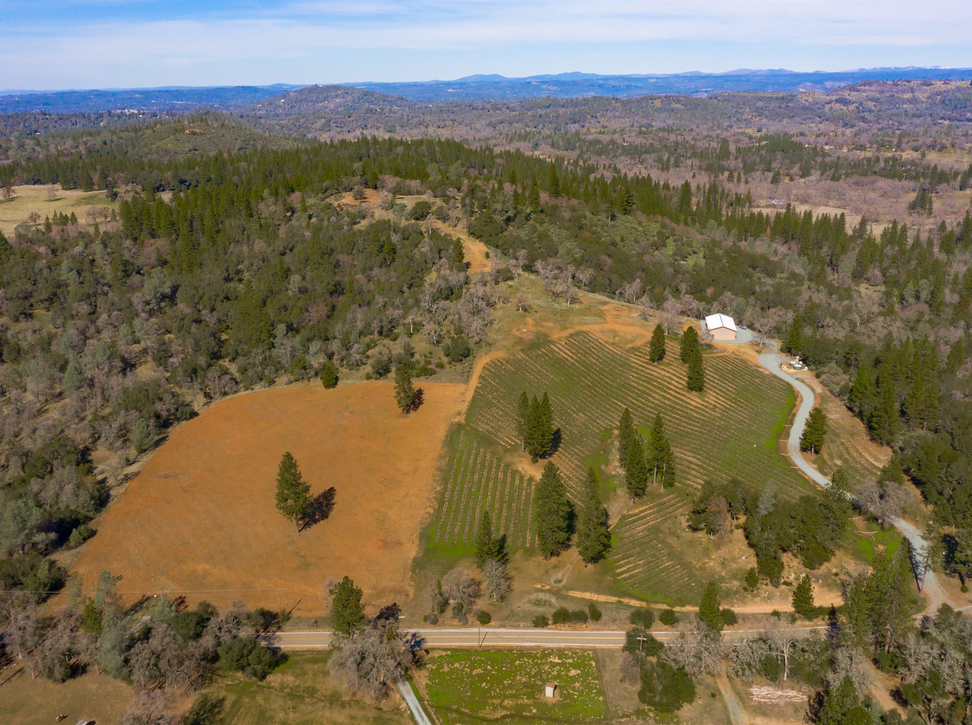 Sierra Foothills vineyards and wineri