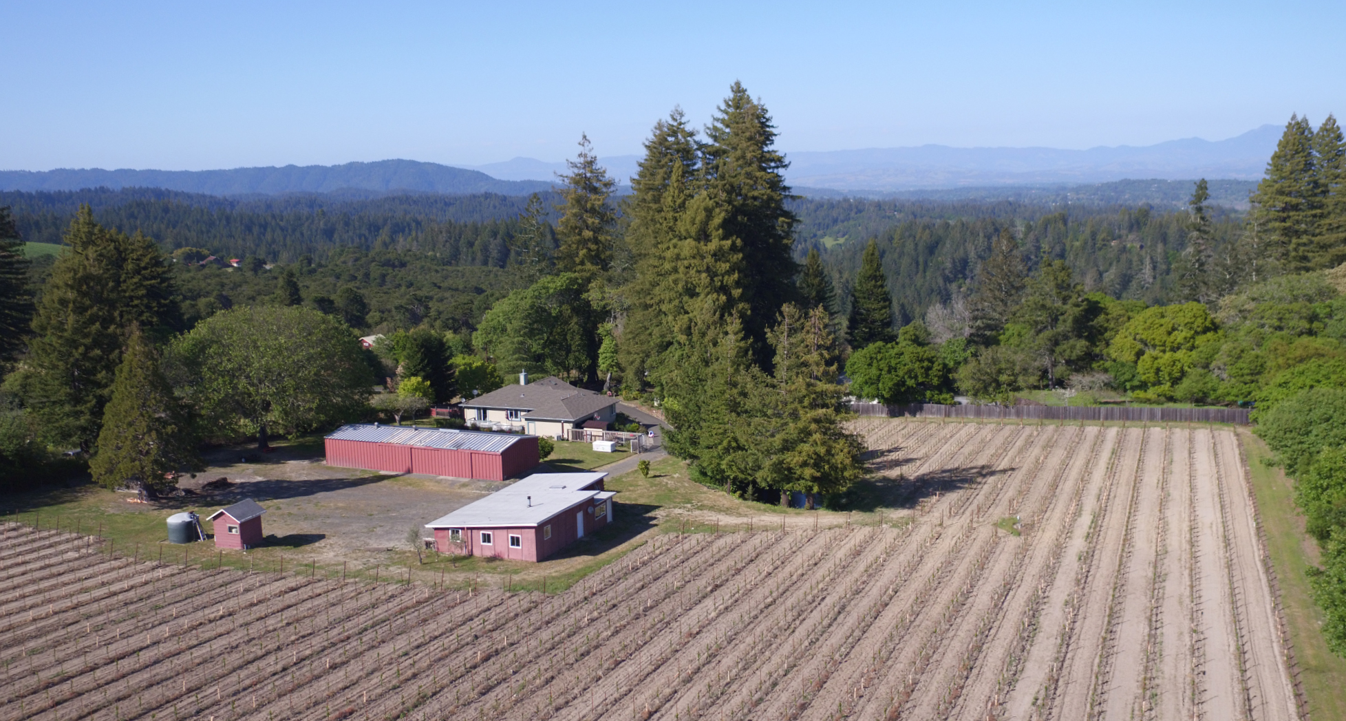 Green Valley AVA and Russian River Valley AVA Vineyard