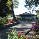 flowers-driveway-home-occidental-california