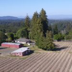 pinot-noir-chardonnay-vineyard-house-workshop-occidetnal-california