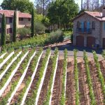 estate-and-guest-house-napa-valley