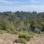 fitzpatrick-road-occidental-land