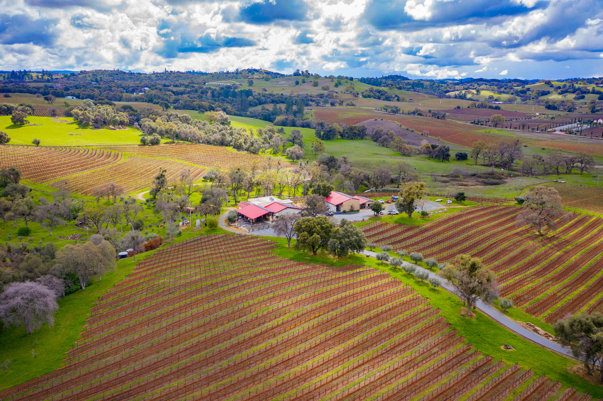Operating Lifestyle Winery For Sale