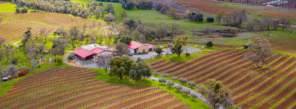 Operating Lifestyle Winery and Estate Vineyards