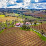 vineyard-winery-green-hills-spring-california